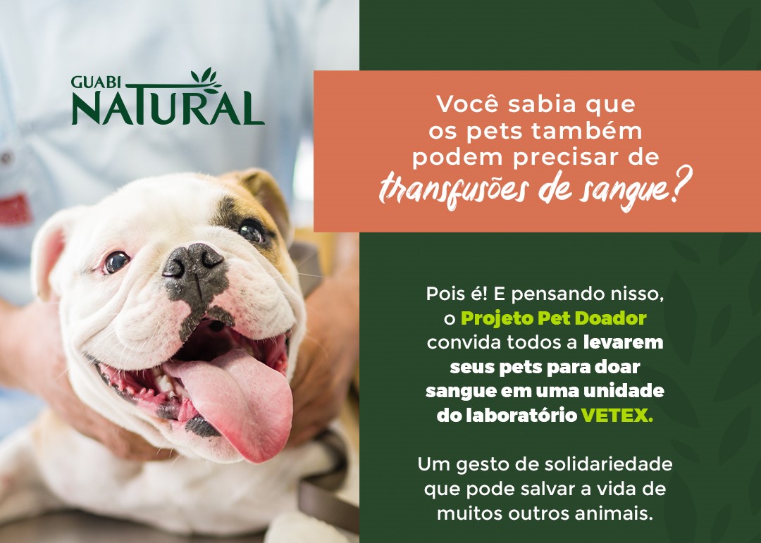 Imagem da campanha de Gabi Natural e Pet Doador, convidando pets para doar sangue