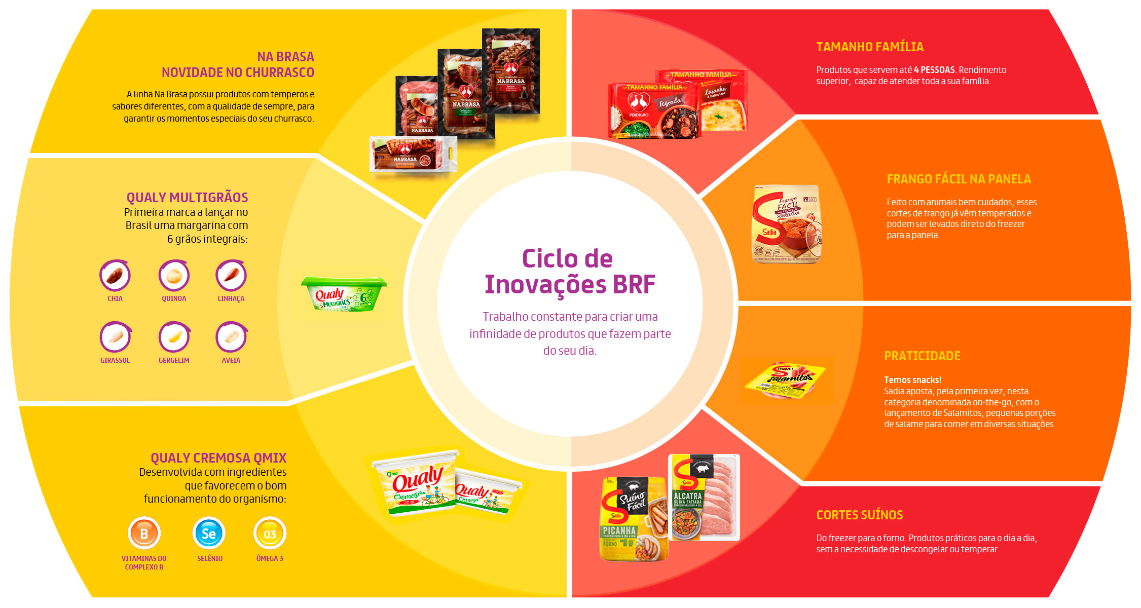Infográfico Ciclo de Inovação BRF