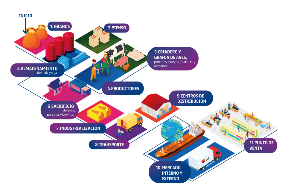 Cadena Productiva BRF Global Cadena Productiva BRF Global